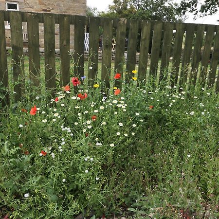 Stable Cottage Staintondale المظهر الخارجي الصورة